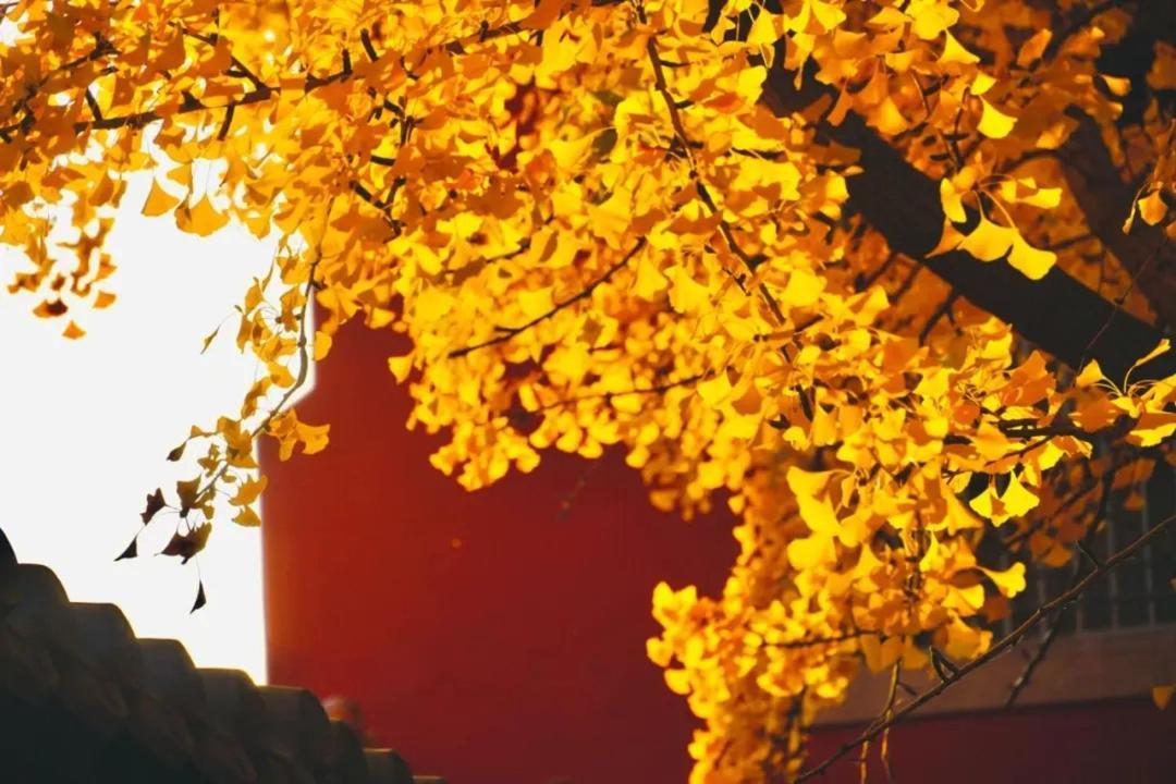 The East Hotel-Very Close To The Drum Tower,The Lama Temple,Houhai Bar Street,And The Forbidden City,There Are Many Old Beijing Traditional Hutongs Around The Hotel ,Experience The Culture Of Old Beijing Hutongs,Near Exit A Of Shichahai On Metro Line Eksteriør billede